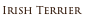 Irish Terrier