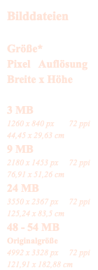 Bilddateien Größe* Pixel Auflösung Breite x Höhe 3 MB 1260 x 840 px 72 ppi 44,45 x 29,63 cm 9 MB 2180 x 1453 px 72 ppi 76,91 x 51,26 cm 24 MB 3550 x 2367 px 72 ppi 125,24 x 83,5 cm 48 - 54 MB Originalgröße 4992 x 3328 px 72 ppi 121,91 x 182,88 cm